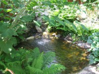 /album/fotogaleria/a2007-0610fuji0012-jpg/