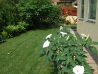 /album/fotogaleria/a2007-0610fuji0013-jpg/