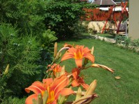 /album/fotogaleria/a2007-0610fuji0014-jpg/