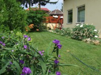 /album/fotogaleria/a2007-0610fuji0017-jpg/