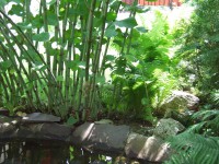 /album/fotogaleria/a2007-0610fuji0066-jpg/