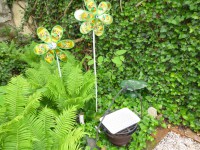 /album/fotogaleria/p1090814-jpg/