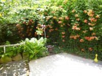 /album/fotogaleria/p1110080-jpg/