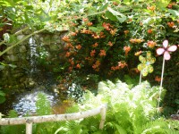 /album/fotogaleria/p1110086-jpg/