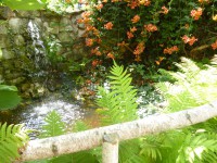 /album/fotogaleria/p1110088-jpg/